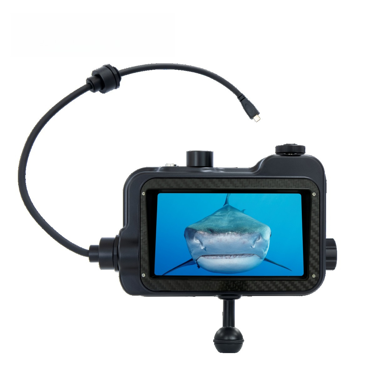 Monitor HDR, layar video fotog - Lighting In Photography Definition ulasan dan harga