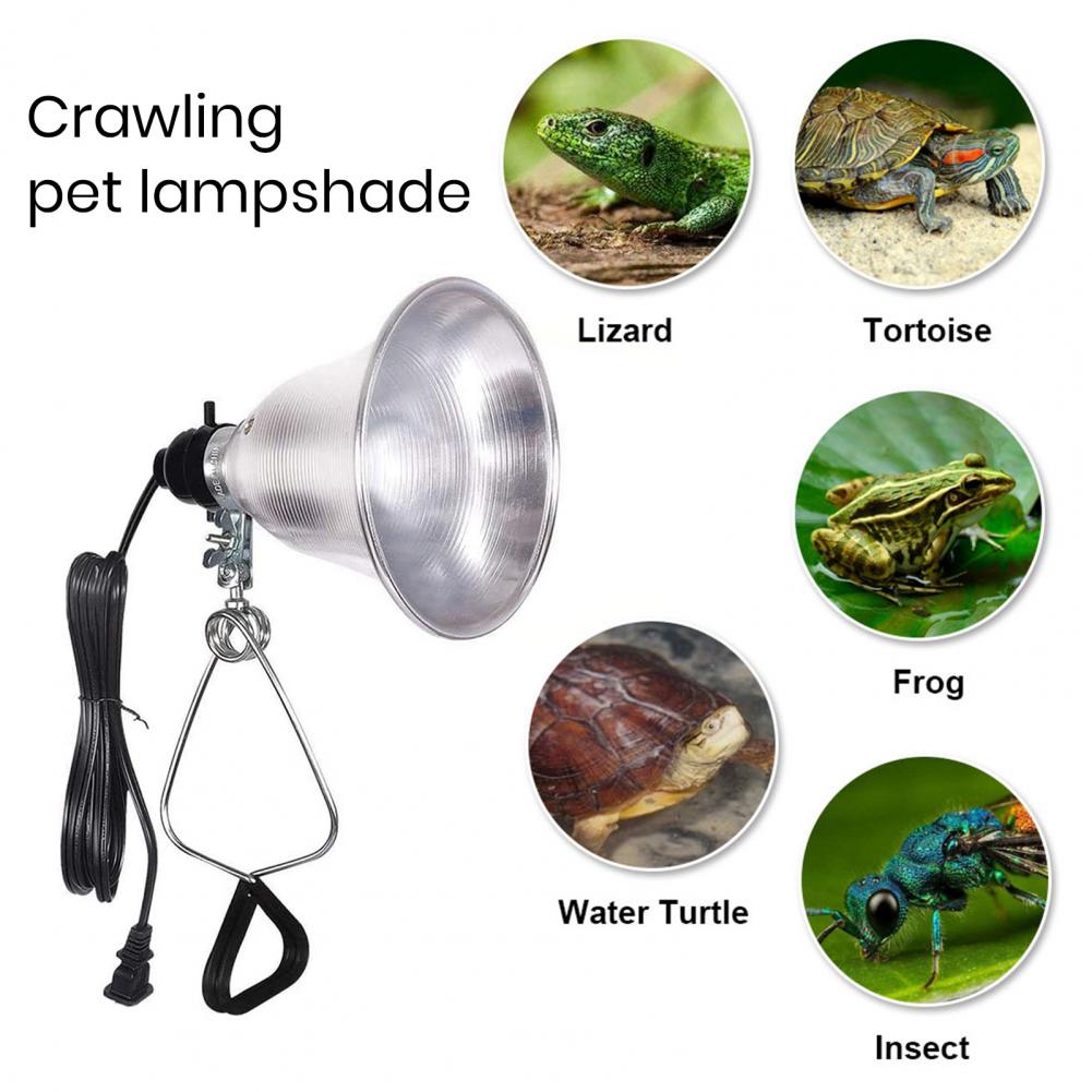 Kap Lampu untuk Lampu Meja, La - Photography Lighting Workshops ulasan dan harga